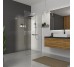 Нерухома стінка Walk-IN 1200х2000мм chrome, скло 8мм clear Koller Pool