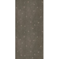 Concrete Signs Mud Buds 6 mm - 120x250 6CONCR250MUDBUD Concrete Signs з колекції Concrete Signs