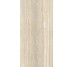 Плитка 60x120 PF60010819 DORICA CREMA ANT R Ariana Dorica з колекції Dorica Ariana