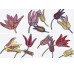 Декор (20x20) Tuli-Pop 1 (set 24pcs) (Bianco Extra) - Tuli-Pop з колекції Tuli-Pop Bardelli