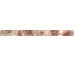 Бордюр Cenefa Yellowrose 5x50 Crema Marfil Undefasa з колекції Crema Marfil Undefasa
