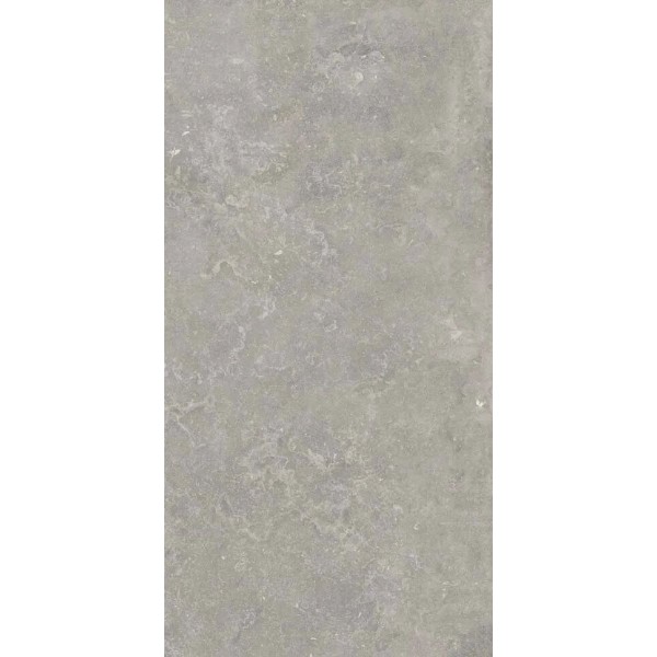 Плитка MEMENTO BRUGE GREY NAT R - 60x120 PF60012928 Memento из коллекции Memento Ariana