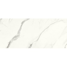 G2504 ARIA WHITE POLISHED 120x270 (настінна) G2504 ARIA WHITE POLISHED 120x270 (настінна)