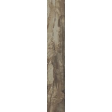 (16x99.5) PO1660R Petrified Wood Brown Rettificato - Petrified Wood з колекції Petrified Wood Ascot (16x99.5) PO1660R Petrified Wood Brown Rettificato - Petrified Wood з колекції Petrified Wood Ascot