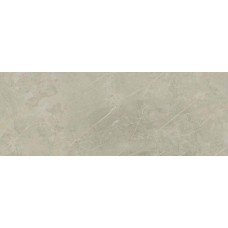 Pulido Rectificado Gris 48x128 1320 з колекції 1320 1320 Керамическая плитка Porcelanite Dos