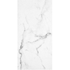(30x60) 7322375 BIANCO CARRARA NAT. RETT. з колекції Unika AlfaLux Rain Керамічна плитка Todagres
