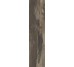 Плитка (24.3x99.5) PO2560R Petrified Wood Brown Rettificato - Petrified Wood з колекції Petrified Wood Ascot