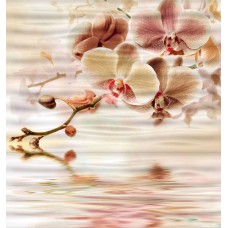 Декор (72.6x68.5) D. REFLECTIONS CREMA - Gloss з колекції Gloss Декор (72.6x68.5) D. REFLECTIONS CREMA - Gloss з колекції Gloss Gloss Керамічна плитка Halcon
