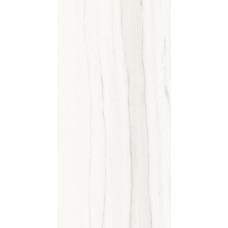 (30x60) P360517 Zebrino Bianco Soft - Marmi Classici з колекції Marmi Classici (30x60) P360517 Zebrino Bianco Soft - Marmi Classici з колекції Marmi Classici