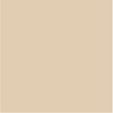 (20x20) Tan Q - I Colori з колекції I Colori Bisazza: від марки Vetricolor 1956 року до музею дизайну — сторінка 8