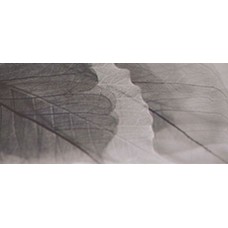 Декор (27х60) DECOR DEVON VISON-1 з колекції Link Декор (27х60) DECOR DEVON VISON-1 з колекції Link Link