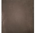 Плитка (59x59) fKUG Evoque Earth Brillante – Evoque из коллекции Evoque FAP