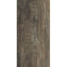 (29.6x59.4) PO360R Petrified Wood Brown Rettificato - Petrified Wood з колекції Petrified Wood Ascot (29.6x59.4) PO360R Petrified Wood Brown Rettificato - Petrified Wood з колекції Petrified Wood Ascot