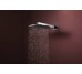 Верхній душ Raindance Alive S 300 2jet EcoSmart з тримачем Chrome (24541000)