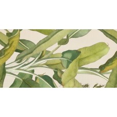 Декор Musa 50x100 Paper41 Pro з колекції Paper41 Pro Paper41 Pro Керамічна плитка 41Zero42