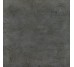 Плитка (60x60) AAYD Jet Black NAT - Ворота злекції Ворота Цезарь