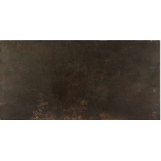Evolution Bronce Lapatto 49.1Х 98.2 R з колекції Evolution Ceramica Evolution Bronce Lapatto 49.1Х 98.2 R з колекції Evolution Ceramica