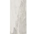 Плитка (49.6x99.5) PO110RL Petrified Wood White Rett/Lapp - Petrified Wood з колекції Petrified Wood Ascot