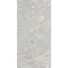 Signature Stone Grey - 29.7x59.7 DSS340R Signature Stone злекції Signature Stone Ascot Signature Stone Grey - 29.7x59.7 DSS340R Signature Stone злекції Signature Stone Ascot Ascot Ceramiche: плитка как художественное полотно, с 1974 года — страница 14