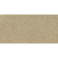 HWD 01 Beige Rett - 60x120 GCWD01R Wild з колекції Wild
