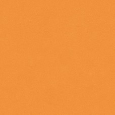 C2 20x20 Color Color з колекції Color Color C2 20x20 Color Color з колекції Color Color