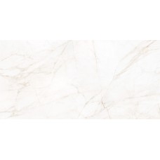 MARBLE DOLOMITA 60x120 (напольная и стен) MARBLE DOLOMITA 60x120 (напольная и стен)