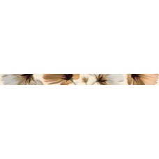 Liston Ocean Flor Crema Бордюр (5х60) Liston Ocean Flor Crema Бордюр (5х60) Ocean Керамічна плитка Fanal