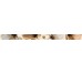 Бордюр (5х60) LISTON OCEAN FLOR CREMA з колекції Ocean Fanal
