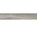 Плитка (16x99.5) FC1604O Focus Grey Out - Focus з колекції Focus Ascot