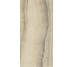 Плитка 30x60 Sand Nat - Skorpion - 79353 з колекції Skorpion Cerdomus