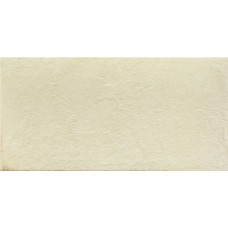 (40x80) 4206 Crema - 4206 из коллекции 4206 4206 Керамическая плитка Porcelanite Dos