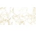 Плитка Gold Double Honed 60x120 Pulp 41zero42 з колекції Pulp 41zero42