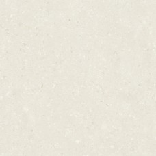 PIETRA CORAL NATURAL MATT RECT. – 59.5x59.5 Pietra Coral из коллекции Pietra Coral PIETRA CORAL NATURAL MATT RECT. – 59.5x59.5 Pietra Coral из коллекции Pietra Coral Pietra Coral Керамическая плитка Itt Ceramic