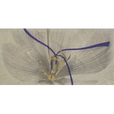 Декор (25х50) DECOR STUDIO STONE FLOR з колекції Studio Studio Керамічна плитка Fanal