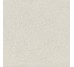 Плитка HWD 10 White Grip Rett - 120x120 GRWD10GRIR Wild з колекції Wild Del Conca