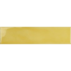 6.2x25 FLU25PR Fluid Primula Fluid з колекції Fluid 6.2x25 FLU25PR Fluid Primula Fluid з колекції Fluid Fluid Керамічна плитка Tonalite