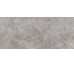 G2704 FIORI DI BOSCO POLISHED 01 120x270 (настенная плитка)