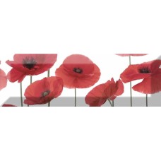 Декор Decor 04 10x30 Poppy Keramika з колекції Poppy Keramika Декор Decor 04 10x30 Poppy Keramika з колекції Poppy Keramika