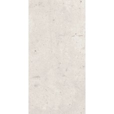 District White Ret - 29.6x59.5 DDC310RS District з колекції District Ascot District