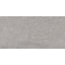 60x120 Nickel R - Mold - NC96 з колекції Mold