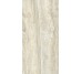 Плитка Invictus Beige As - 60x120 CSAINVBA12 Invictus з колекції Invictus Santagostino