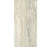Плитка Invictus Beige As - 60x120 CSAINVBA12 Invictus з колекції Invictus Santagostino
