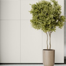 GRES MONOLIGHT EXTERIOR WHITE RECT (1 сорт) GRES MONOLIGHT EXTERIOR WHITE RECT (1 сорт)