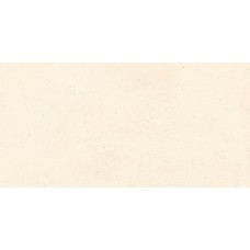 30x60 Palomastone White-Palomastone з колекції Palomastone PALOMASTONE Керамічна плитка Tau