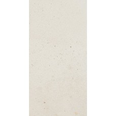 (30.2x60.4) IC361R - I Cocci з колекції I Cocci