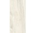 Плитка Invictus Ivory Kry - 30x60 CSAINVIK30 Invictus з колекції Invictus Santagostino
