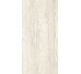 Плитка Invictus Ivory Kry - 30x60 CSAINVIK30 Invictus з колекції Invictus Santagostino