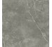 PUCCINI GRIS MAT 60x60 (плитка для підлоги і стін)