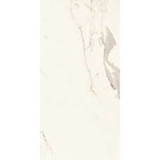 (49.5x99) DG0259 Digit Calacat. Rett. - Marmo D з колекції Marmo D Marmo D — сторінка 2