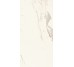 Плитка (49.5x99) DG0259 Digit Calacat. Rett. - Marmo D з колекції Marmo D Impronta